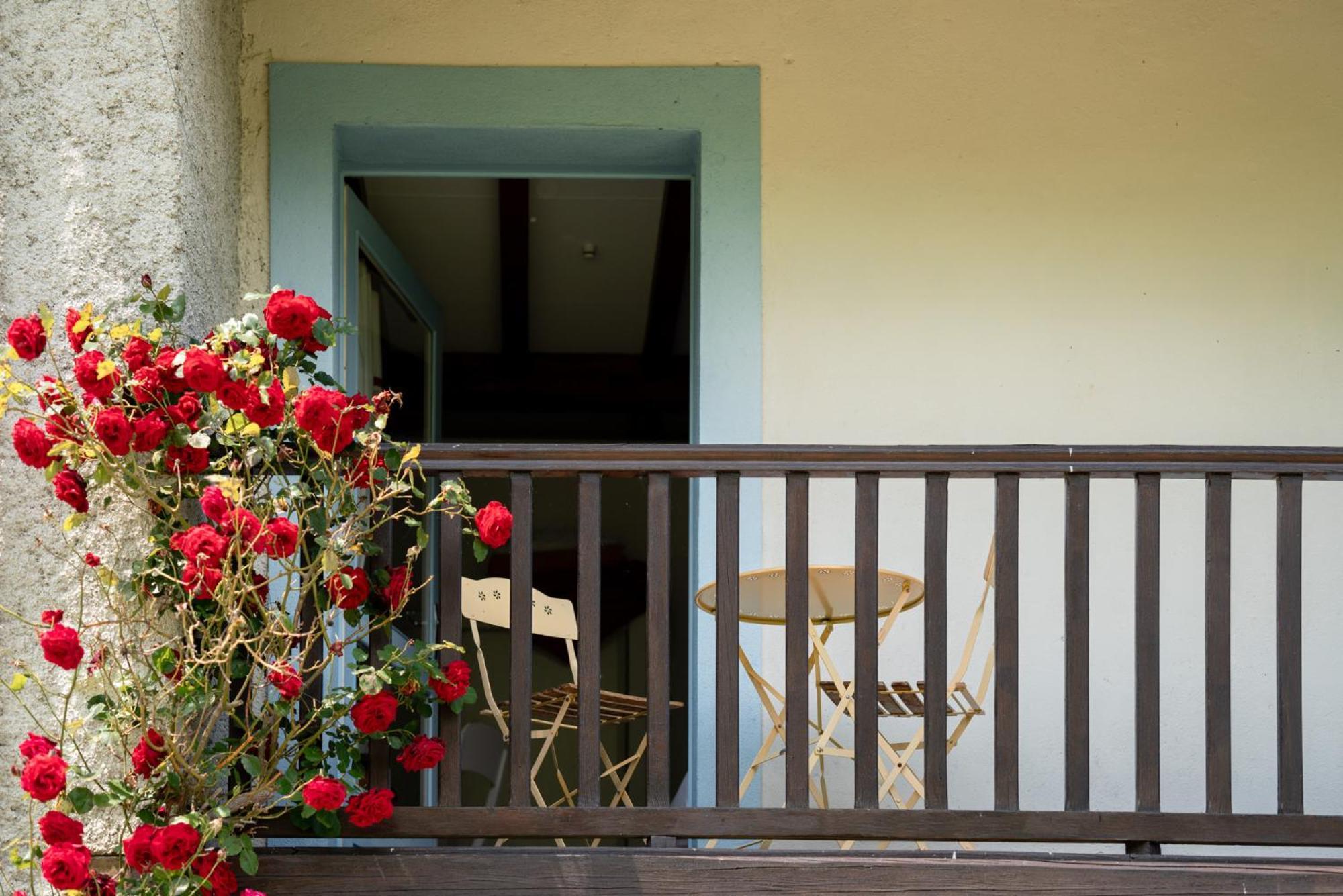 Domaine De Ramonjuan Hotel Bagnères-de-Bigorre Eksteriør billede