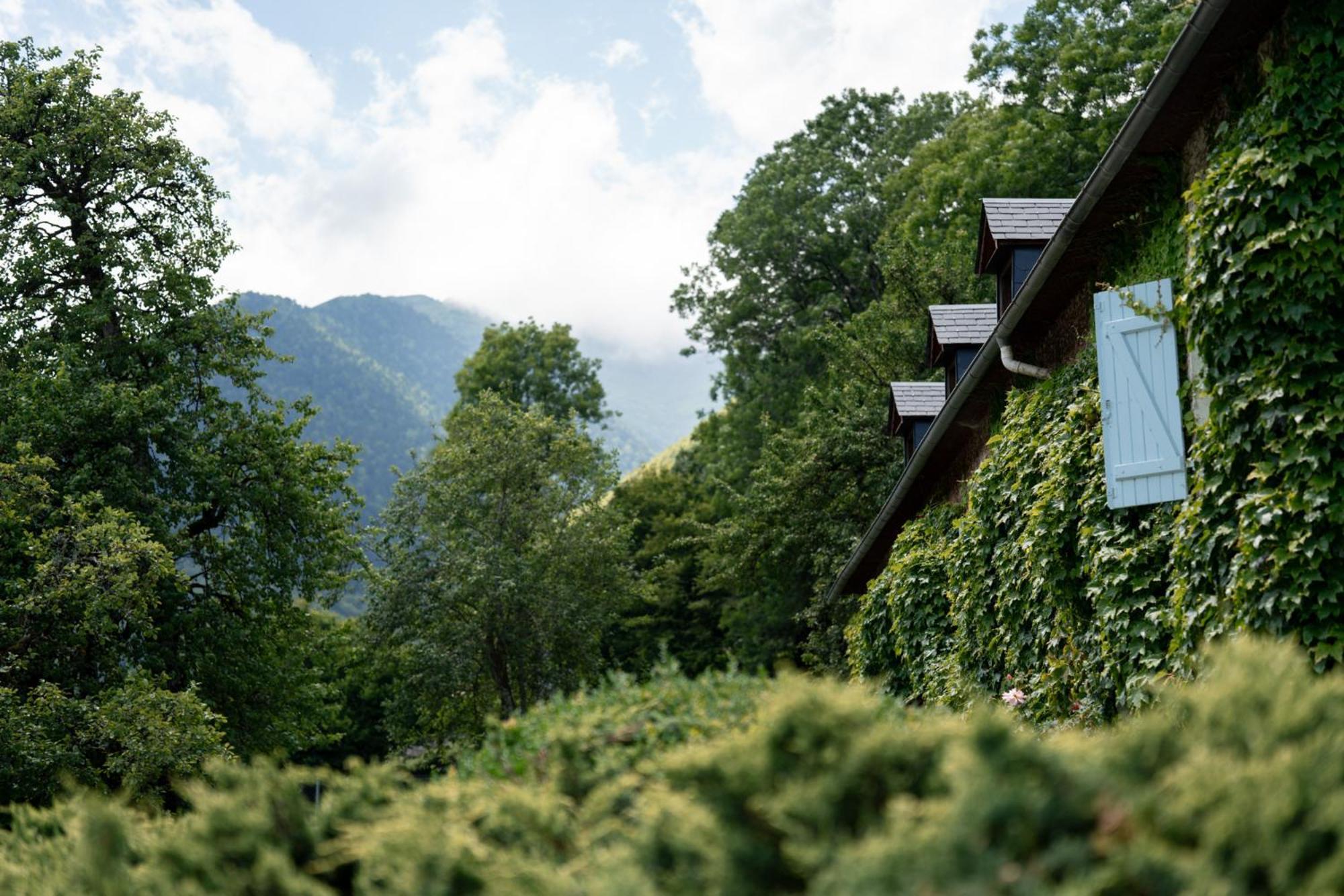 Domaine De Ramonjuan Hotel Bagnères-de-Bigorre Eksteriør billede